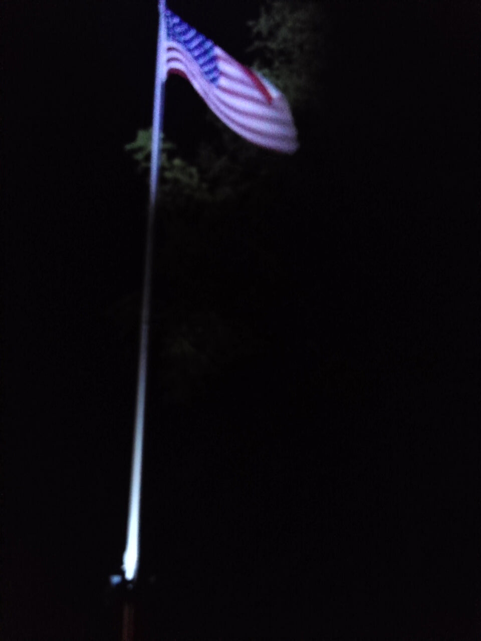 PolePal Extreme 6 Light Heads