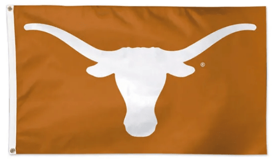 Texas Longhorns Flag | 3x5 Sewn Appliqué Outdoor Flag